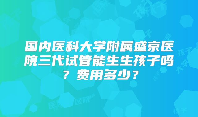 国内医科大学附属盛京医院三代试管能生生孩子吗?费用多少?