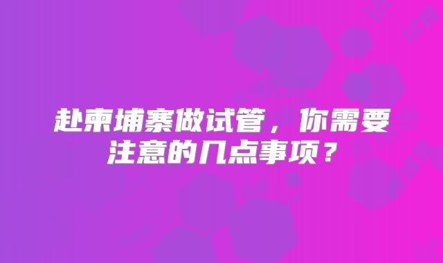 赴柬埔寨做试管，你需要注意的几点事项？