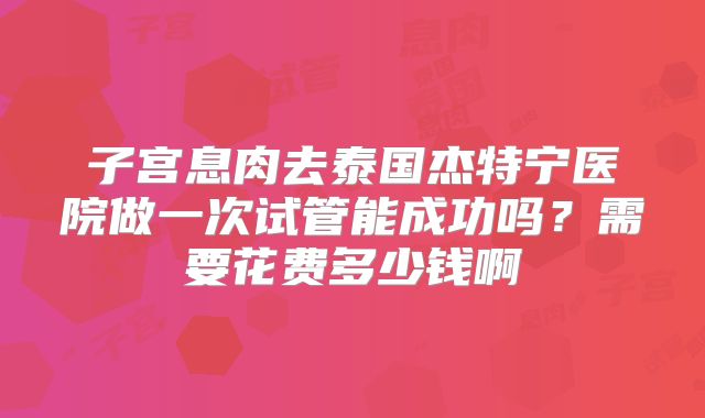 子宫息肉去泰国杰特宁医院做一次试管能成功吗？需要花费多少钱啊