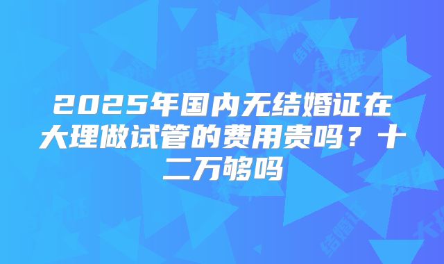 2025年国内无结婚证在大理做试管的费用贵吗?十二万够吗