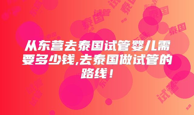 从东营去泰国试管婴儿需要多少钱,去泰国做试管的路线！