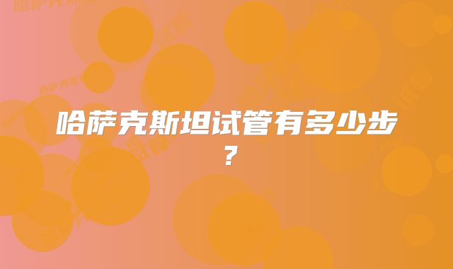 哈萨克斯坦试管有多少步？