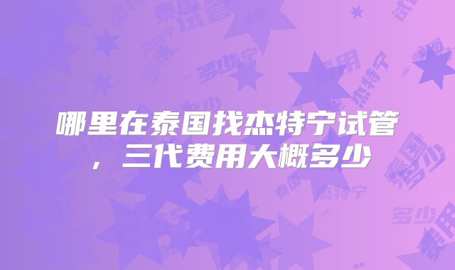 哪里在泰国找杰特宁试管,三代费用大概多少