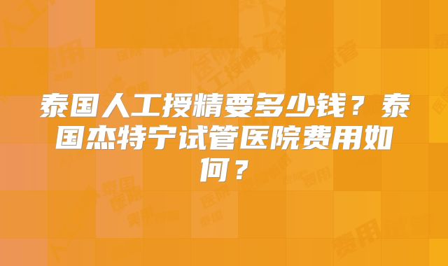 泰国人工授精要多少钱？泰国杰特宁试管医院费用如何？
