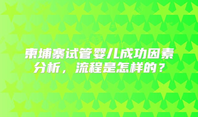 柬埔寨试管婴儿成功因素分析,流程是怎样的?