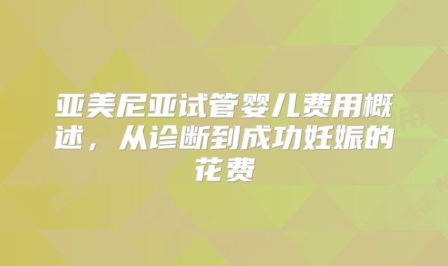 亚美尼亚试管婴儿费用概述，从诊断到成功妊娠的花费
