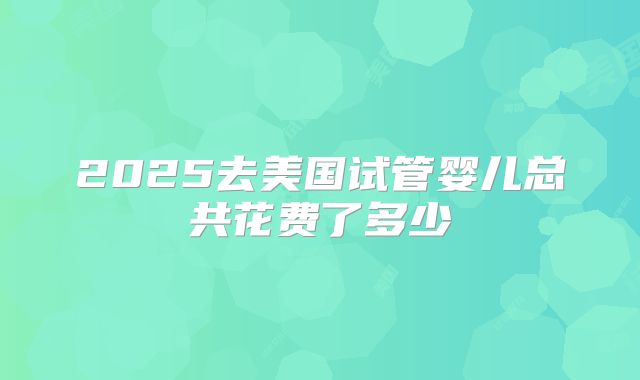 2025去美国试管婴儿总共花费了多少