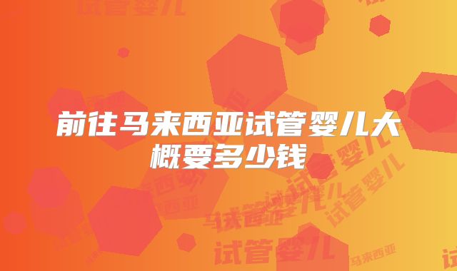 前往马来西亚试管婴儿大概要多少钱