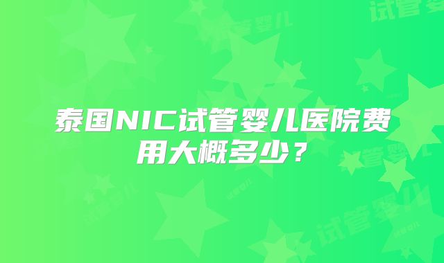 泰国NIC试管婴儿医院费用大概多少？