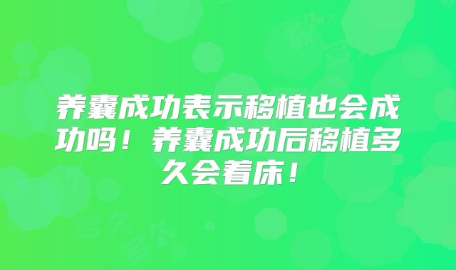 养囊成功表示移植也会成功吗!养囊成功后移植多久会着床!