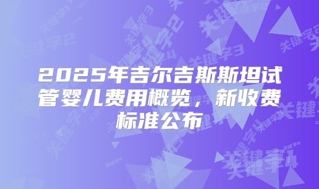 2025年吉尔吉斯斯坦试管婴儿费用概览,新收费标准公布