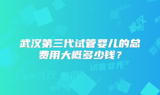 武汉第三代试管婴儿的总费用大概多少钱？