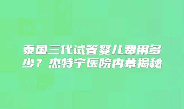 泰国三代试管婴儿费用多少？杰特宁医院内幕揭秘