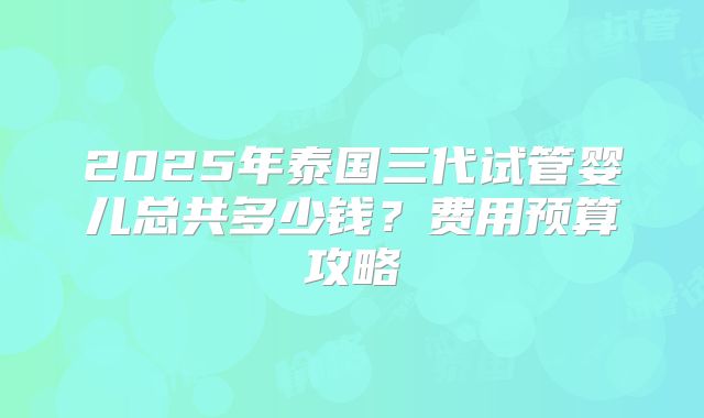 2025年泰国三代试管婴儿总共多少钱？费用预算攻略