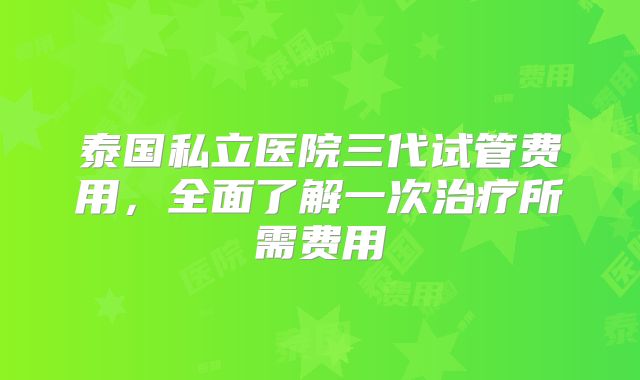 泰国私立医院三代试管费用,全面了解一次治疗所需费用
