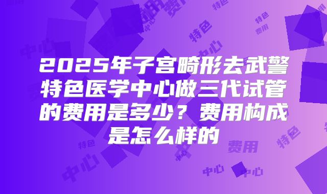 2025年子宫畸形去武警特色医学中心做三代试管的费用是多少?费用构成是怎么样的