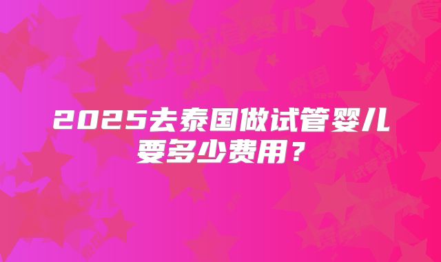 2025去泰国做试管婴儿要多少费用？