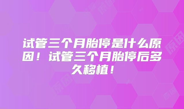 试管三个月胎停是什么原因!试管三个月胎停后多久移植!