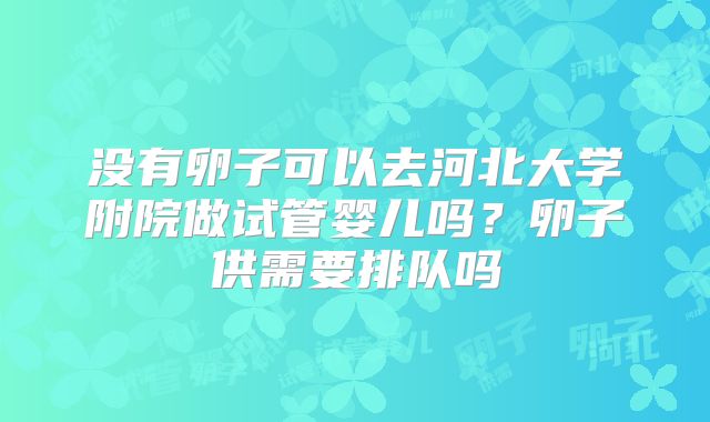 没有卵子可以去河北大学附院做试管婴儿吗？卵子供需要排队吗