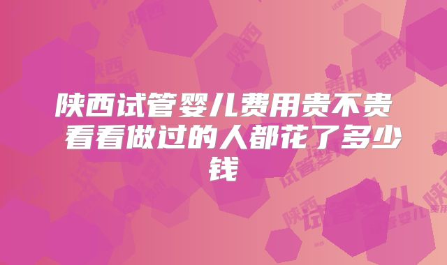 陕西试管婴儿费用贵不贵 看看做过的人都花了多少钱