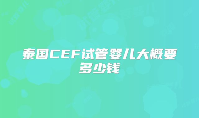 泰国CEF试管婴儿大概要多少钱