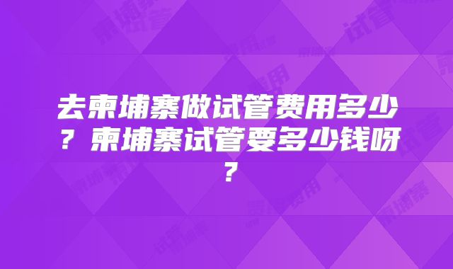 去柬埔寨做试管费用多少？柬埔寨试管要多少钱呀？