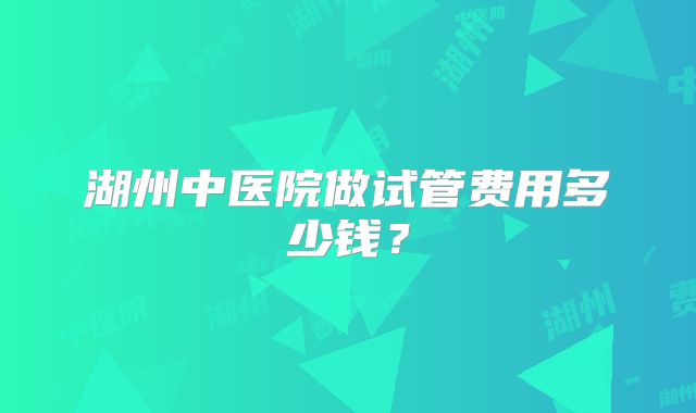 湖州中医院做试管费用多少钱?