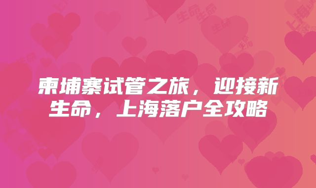 柬埔寨试管之旅,迎接新生命,上海落户全攻略