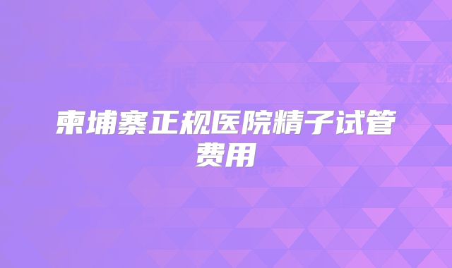 柬埔寨正规医院精子试管费用