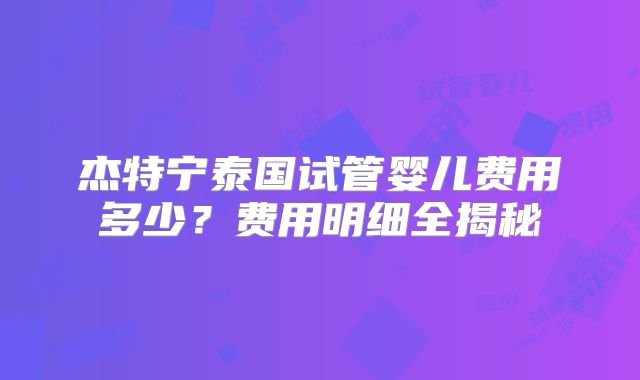 杰特宁泰国试管婴儿费用多少？费用明细全揭秘