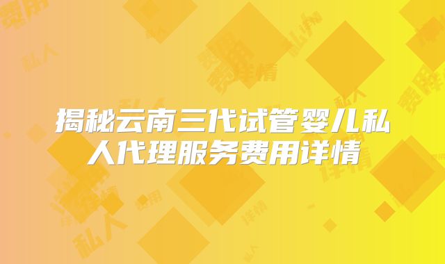 揭秘云南三代试管婴儿私人代理服务费用详情