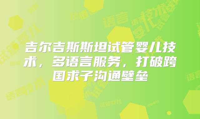 吉尔吉斯斯坦试管婴儿技术，多语言服务，打破跨国求子沟通壁垒