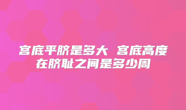 宫底平脐是多大 宫底高度在脐耻之间是多少周