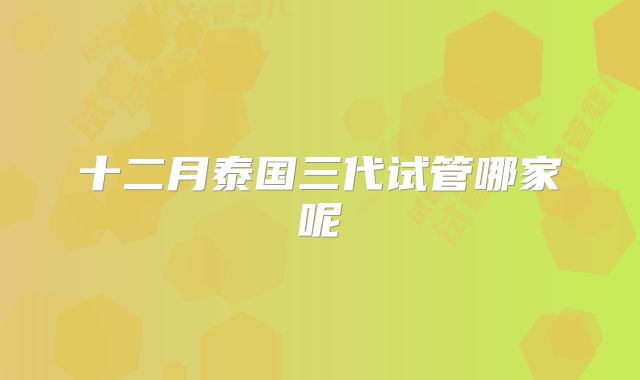 十二月泰国三代试管哪家呢