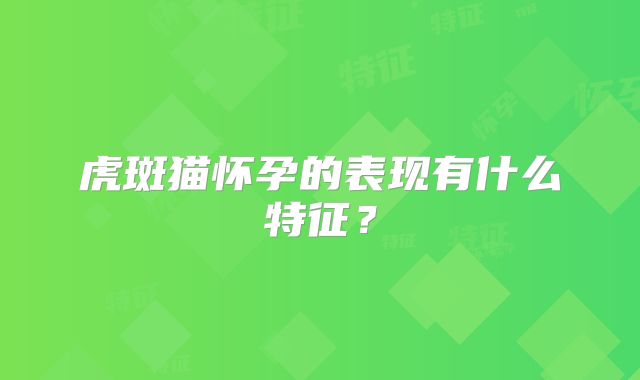 虎斑猫怀孕的表现有什么特征？