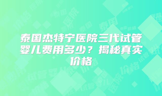 泰国杰特宁医院三代试管婴儿费用多少?揭秘真实价格