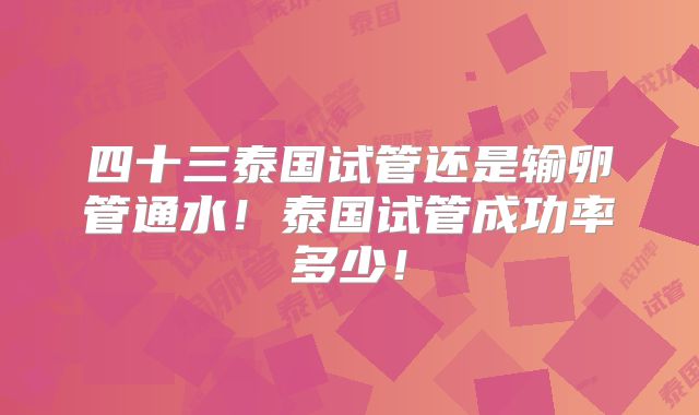 四十三泰国试管还是输卵管通水！泰国试管成功率多少！