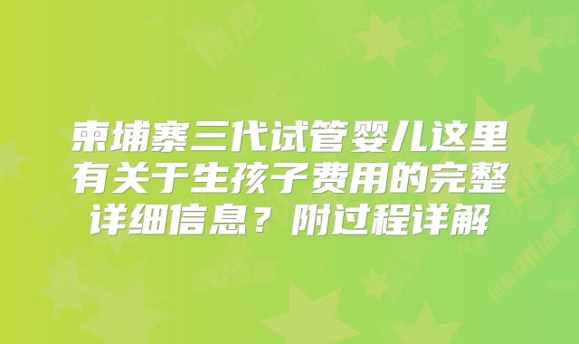 柬埔寨三代试管婴儿这里有关于生孩子费用的完整详细信息？附过程详解