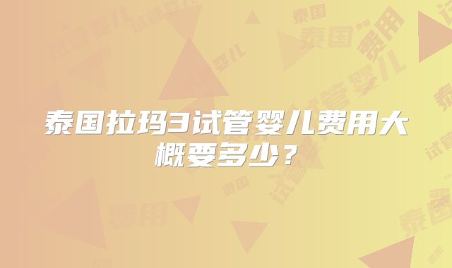 泰国拉玛3试管婴儿费用大概要多少？