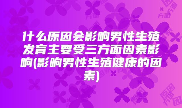什么原因会影响男性生殖发育主要受三方面因素影响(影响男性生殖健康的因素)