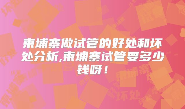 柬埔寨做试管的好处和坏处分析,柬埔寨试管要多少钱呀!