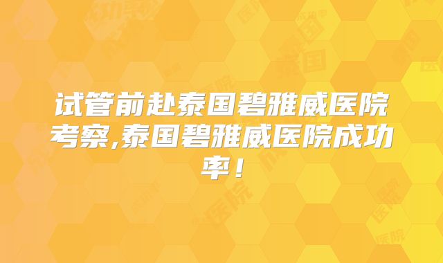 试管前赴泰国碧雅威医院考察,泰国碧雅威医院成功率!