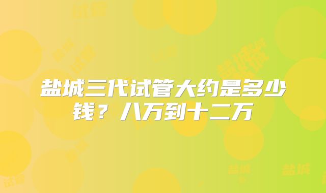 盐城三代试管大约是多少钱？八万到十二万