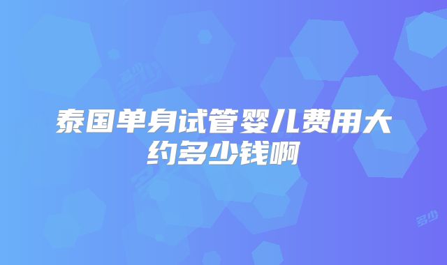 泰国单身试管婴儿费用大约多少钱啊