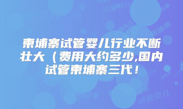 柬埔寨试管婴儿行业不断壮大(费用大约多少,国内试管柬埔寨三代!