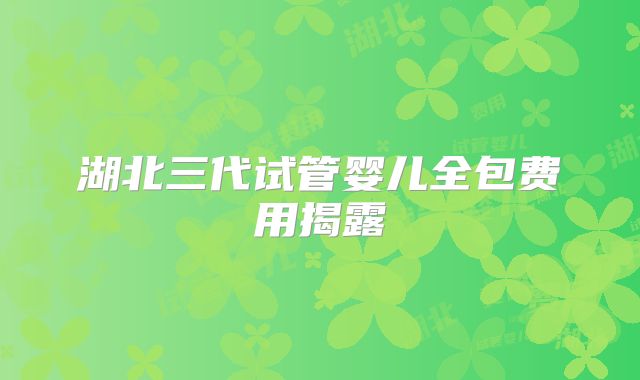 湖北三代试管婴儿全包费用揭露