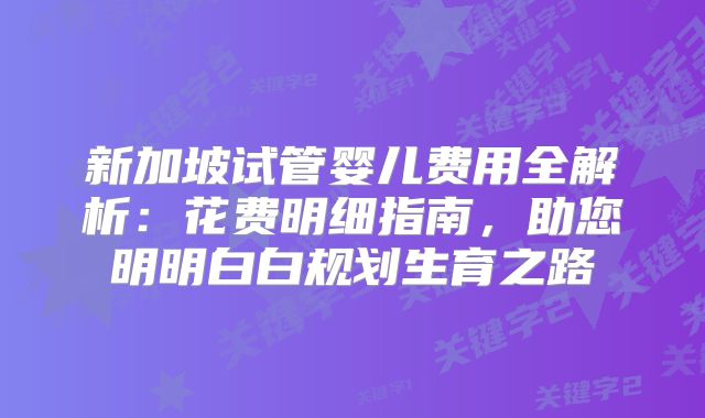 新加坡试管婴儿费用全解析:花费明细指南,助您明明白白规划生育之路