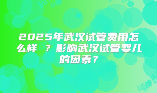 2025年武汉试管费用怎么样 ？影响武汉试管婴儿的因素？