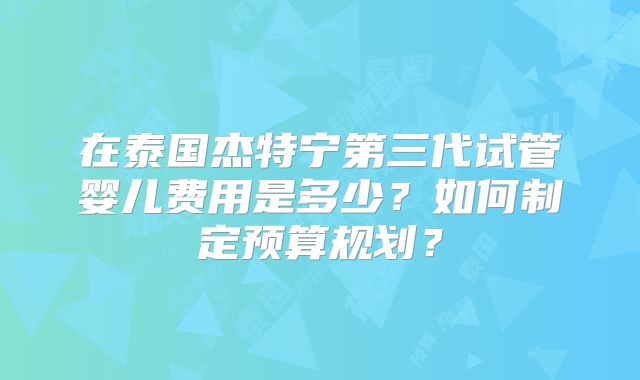 在泰国杰特宁第三代试管婴儿费用是多少？如何制定预算规划？