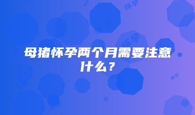 母猪怀孕两个月需要注意什么？